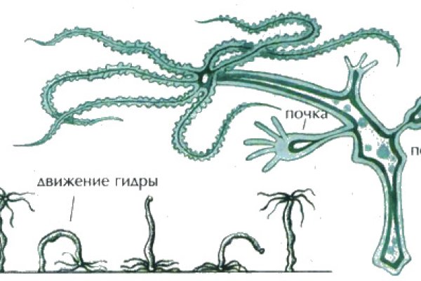 Кракен онион тор