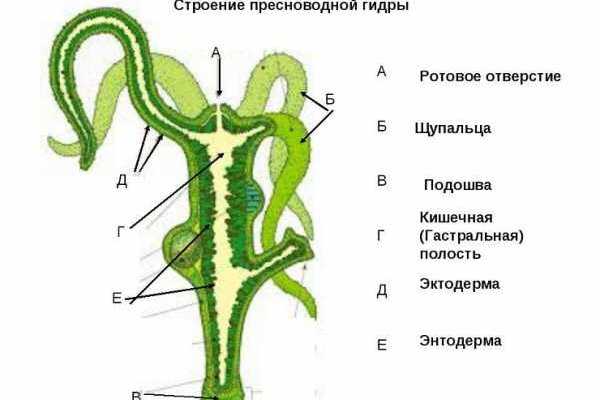 Kraken официальный сайт ссылка