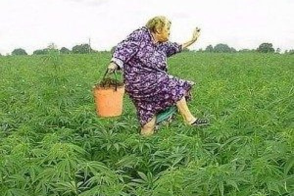 Кракен сайт вход официальный зеркало